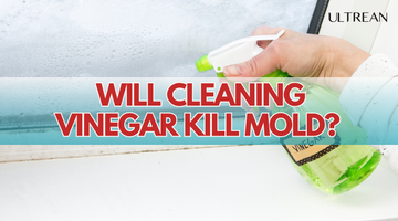 Will Cleaning Vinegar Kill Mold? The Truth You Need to Know!
