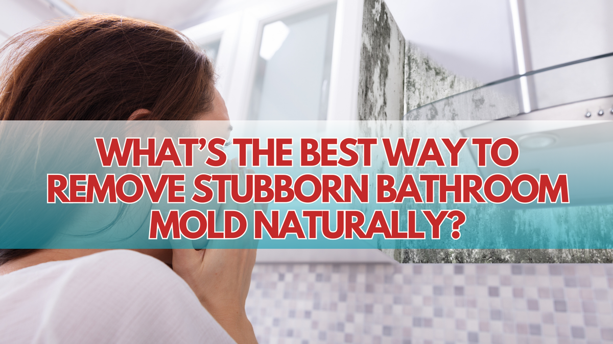 What’s the Best Way to Remove Stubborn Bathroom Mold Naturally? – Ultrean