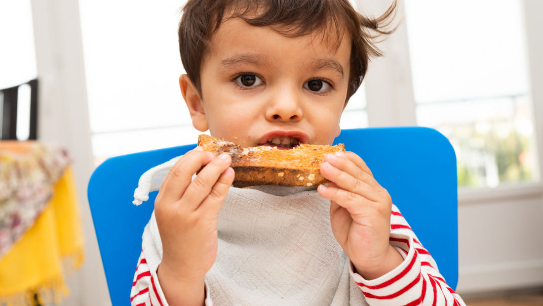 Are toaster-considered energy efficient appliances?